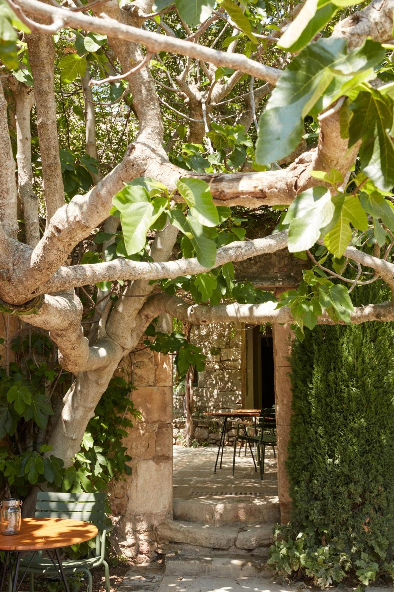 La Bastide Du Mourre Bed and Breakfast Oppède Exteriör bild